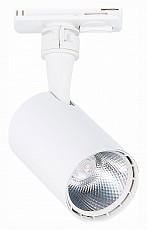 Светильник на штанге ST-Luce Cami ST351.546.10.24