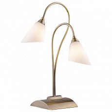 Настольная лампа декоративная Odeon Light Hedys 1375/2T