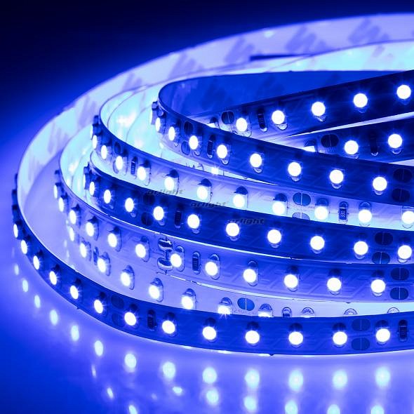 Лента светодиодная Arlight RT 2-5000 24V Blue 2x (3528, 600 LED, LUX) 008783(1)