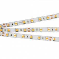 Лента светодиодная Arlight RT 2-5000 24V White6000 2x (5060, 300 LED, LUX) 008829(B)