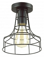 Накладной светильник Lumion Alfred 3639/1C