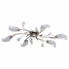 Потолочная люстра MW-Light Восторг 19 242016306