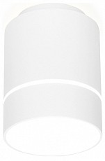 Накладной светильник Ambrella Light TN TN256