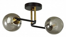 Светильник на штанге Lumion Janet 5217/2C