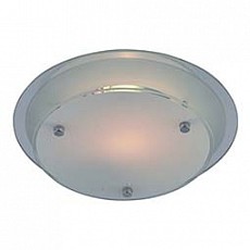 Накладной светильник Arte Lamp Rapunzel A4867PL-2CC