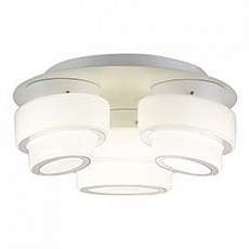 Накладной светильник ST-Luce Ovale SL546.502.03