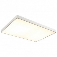 Накладной светильник Arte Lamp Scena A2662PL-1WH
