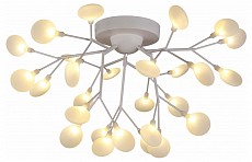 Потолочная люстра EVOLUCE Avola SLE250102-27