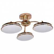 Потолочная люстра F-promo Ledante 2473-3P
