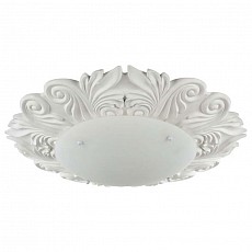 Накладной светильник Maytoni Tamina C901-CL-04-W