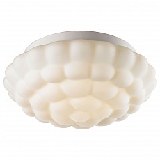 Накладной светильник Arte Lamp Aqua A5130PL-2WH
