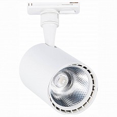 Светильник на штанге ST-Luce Cami ST351.536.20