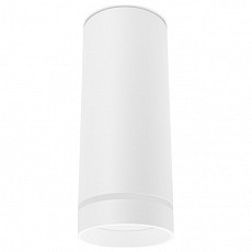 Накладной светильник Ambrella Light TN TN285