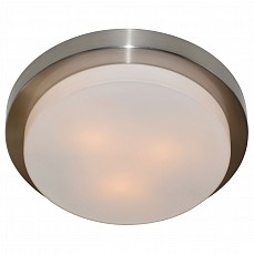 Накладной светильник Arte Lamp Aqua A8510PL-3SS