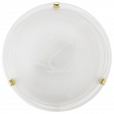 Накладной светильник Eglo ПРОМО Salome 7185