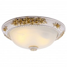 Накладной светильник Arte Lamp Torta A7102PL-2WG