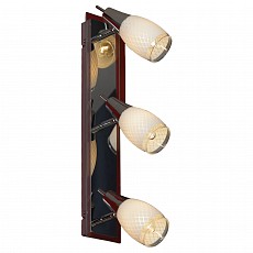 Спот Lussole Carlino LSX-4801-03