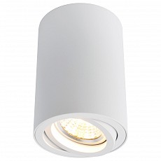 Накладной светильник Arte Lamp Sentry A1560PL-1WH