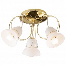 Потолочная люстра Odeon Light Carica 1311/3