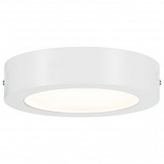 Накладной светильник Paulmann Lunar 70641