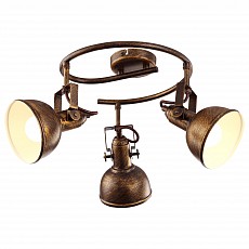 Спот Arte Lamp Martin A5215PL-3BR