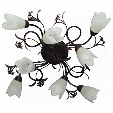 Потолочная люстра MW-Light Аида 13 323013708