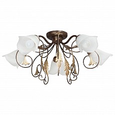 Потолочная люстра Vitaluce V1154 V1154/5PL