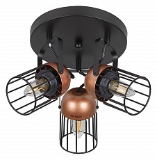 Спот Rivoli Anemon Б0047366