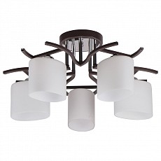 Потолочная люстра Imex 2441 MD.2441-5-S BR+CH