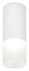 Накладной светильник Ambrella Light TN TN230