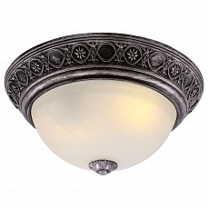 Накладной светильник Arte Lamp Piatti A8009PL-2SB