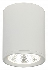 Накладной светильник Escada 20003 20003SMU/02LED SWH