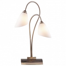Настольная лампа декоративная Odeon Light Hedys 1373/2T
