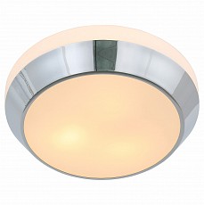 Накладной светильник ST-Luce Bagno SL469.502.03