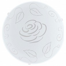 Накладной светильник Eglo ПРОМО Mars 1 89238