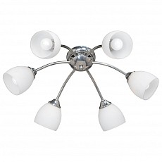 Потолочная люстра Vitaluce 3446 V3446/6PL