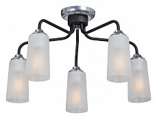 Потолочная люстра Vitaluce V4978 V4978-1/5PL