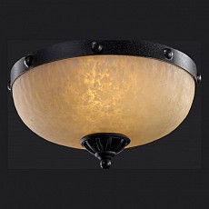 Накладной светильник L'Arte Luce Fort L50352.46