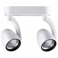 Спот Novotech Zeus 357870