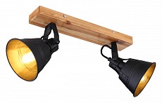 Спот Globo Günther 15466S-2