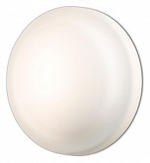Накладной светильник Odeon Light Tavoy 2760/1C