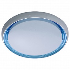 Накладной светильник DeMarkt Ривз 674011501