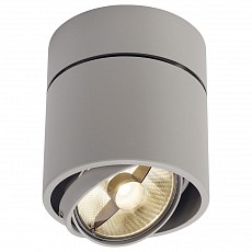 Накладной светильник SLV Kardamod 117164