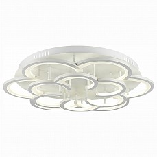 Накладной светильник EVOLUCE Bonn SLE200502-12