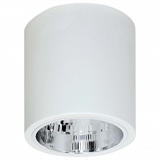 Накладной светильник Luminex Downlight Round 7240