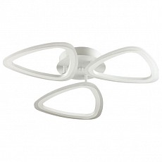 Накладной светильник Lumion Mieko 4524/66CL