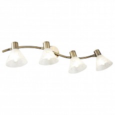 Спот Freya Paola FR7001WL-04BZ