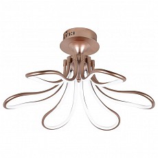 Потолочная люстра Favourite Flora 2547-6U