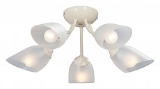 Потолочная люстра Vitaluce  V3405/5PL