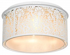 Накладной светильник Lussole Vetere GRLSF-2307-07